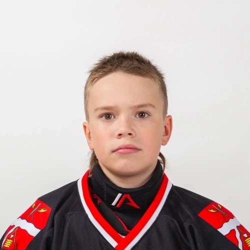 Kozmin Ilya Vasilevich