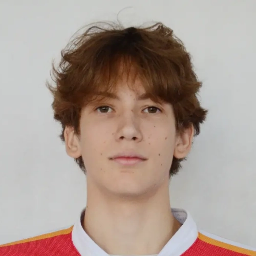 Bikkinyaev Aleksei Artemovich