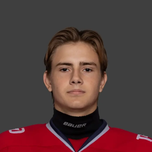 Belyaev Matvei Ilich