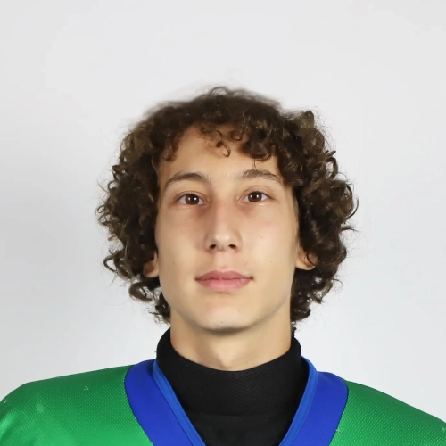Гайсин Амир Ралифович