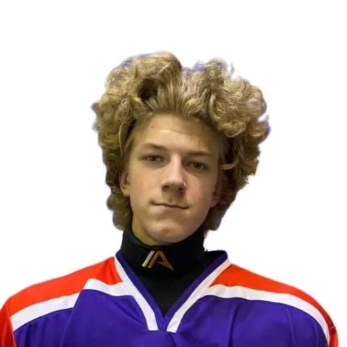 Gorovikov Yan Dmitrievich