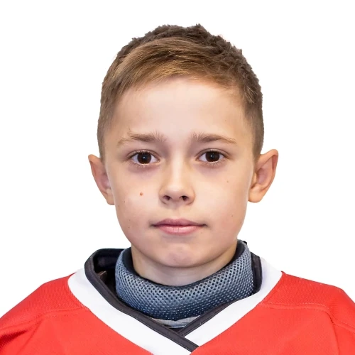 Vozisov Daniil Vadimovich