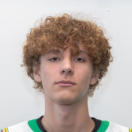 Portnyh Timofei Denisovich