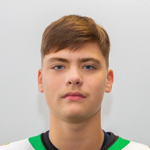 Shvetsov Denis Vitalevich