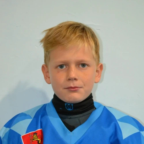 Mokeev Semen Sergeevich