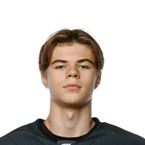 Tertyshnyi Danil Andreevich