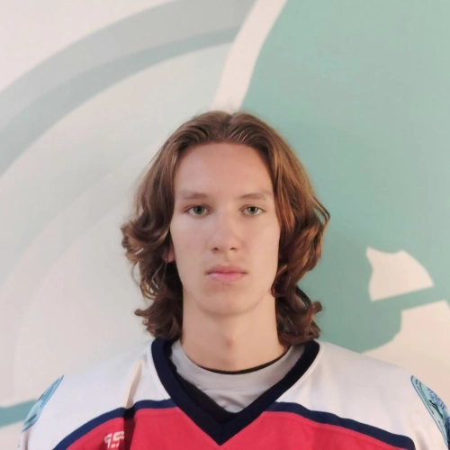 Martyushev Arsenii Vasilevich