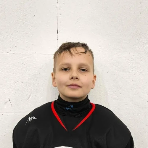 Shulepov Timur Nikolaevich