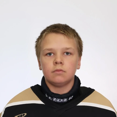 Sazonov Mihail Dmitrievich