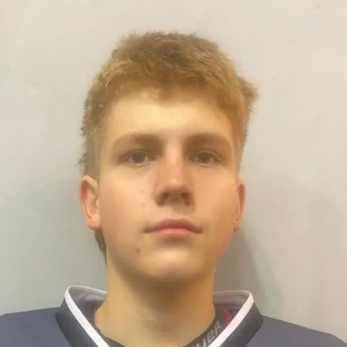 Kolesnikov Miron Sergeevich