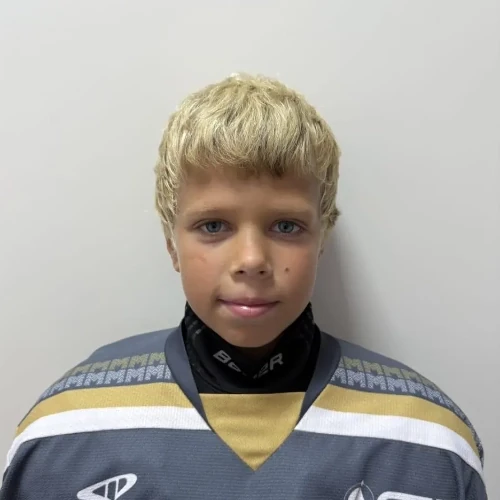 Veprinyak Dmitrii Nikolaevich