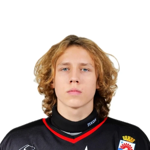 Chulochnikov Artem Alekseevich