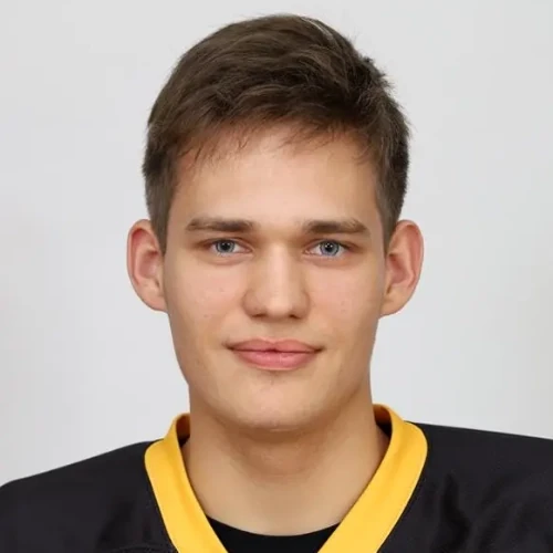 Tihonov Sergei Ivanovich