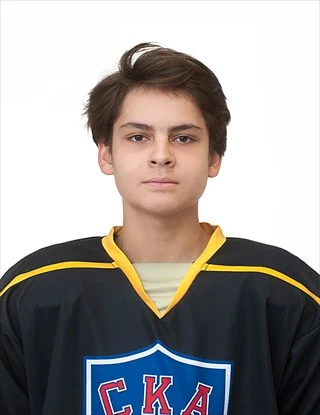 Vengin Matvei Ilich