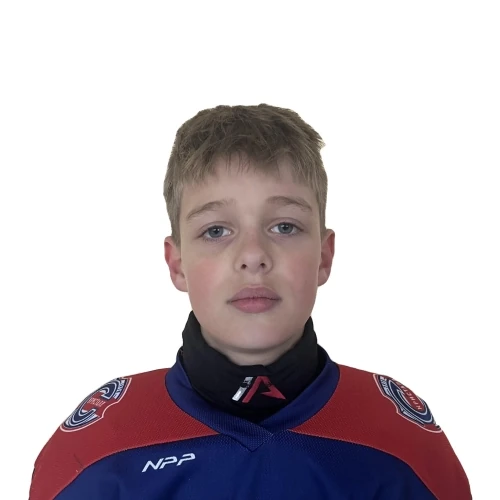 Ivanov Andrei Gennadevich