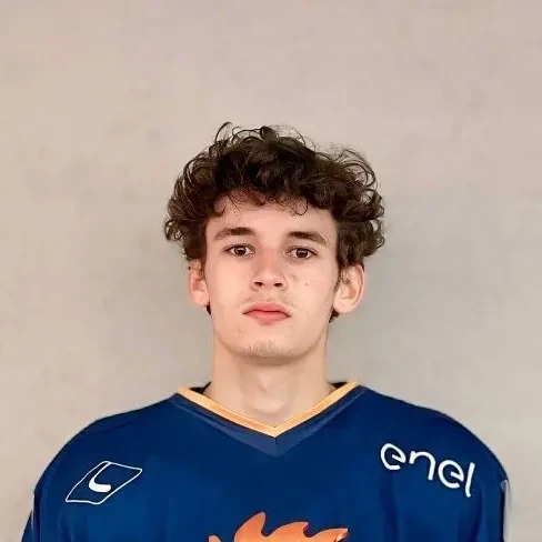 Mitrohin Daniil Vladimirovich