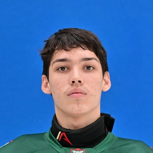 Gabzalilov Artur Ranifovich