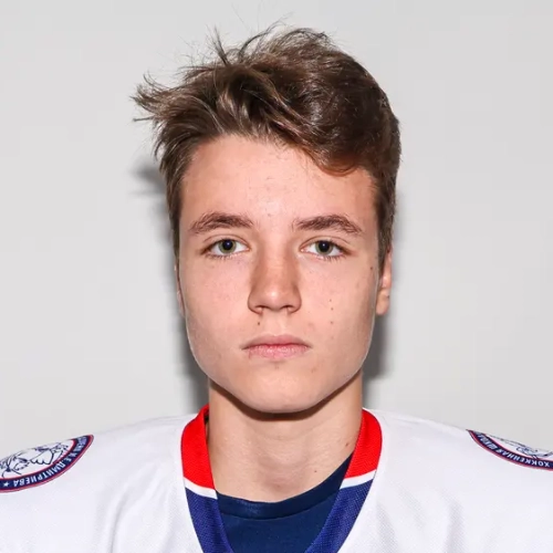 Lebedev Daniil Kirillovich
