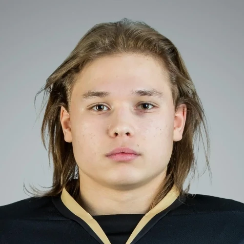 Varentsov Timofei Vitalevich