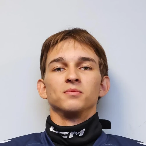 Kulikov Denis Aleksandrovich