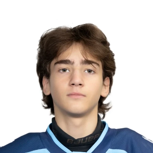 Bufetov Vsevolod Anatolevich