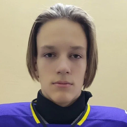 Люльков Дмитрий Сергеевич