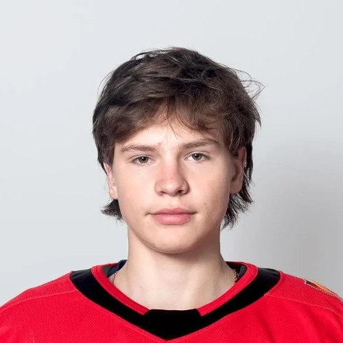 Sedelnikov Anton Aleksandrovich