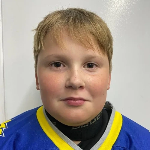 Kostarev Artem Sergeevich