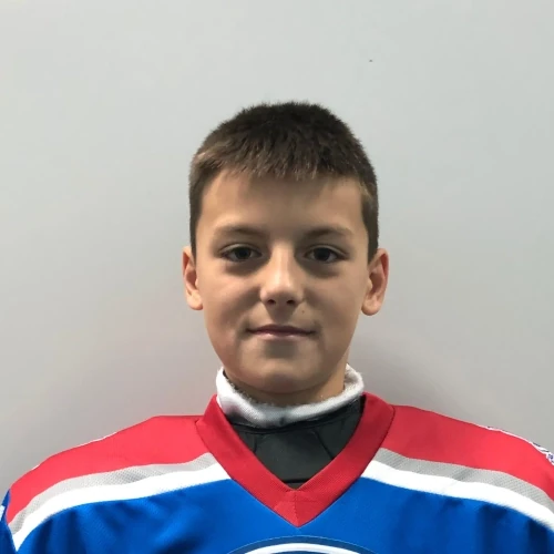 Gavrik Matvei Mihailovich