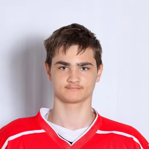 Trifonov Nikita Sergeevich