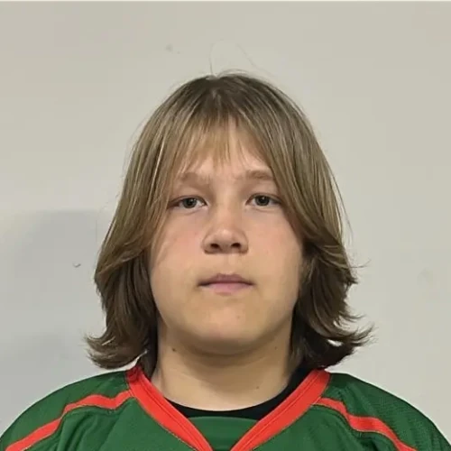 Suleimanov Ilnaz Ilmirovich