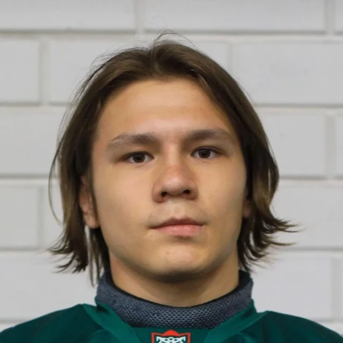 Karimov Artem Dinarovich