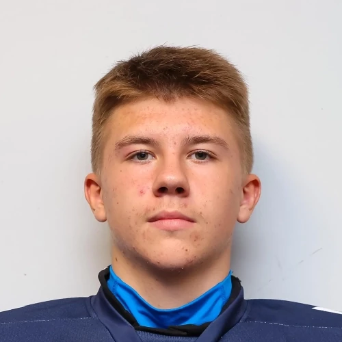 Kadomtsev Gleb Alekseevich
