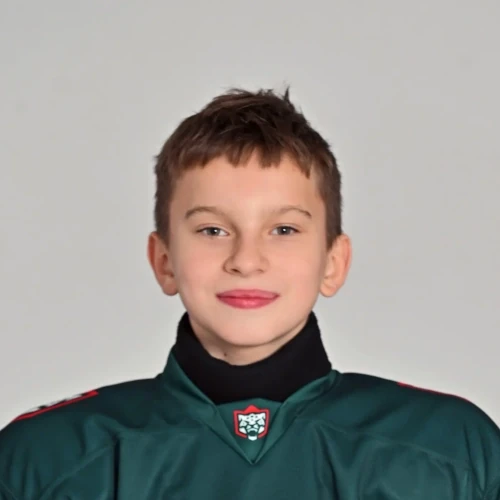 Perevozchikov Aleksei Eduardovich