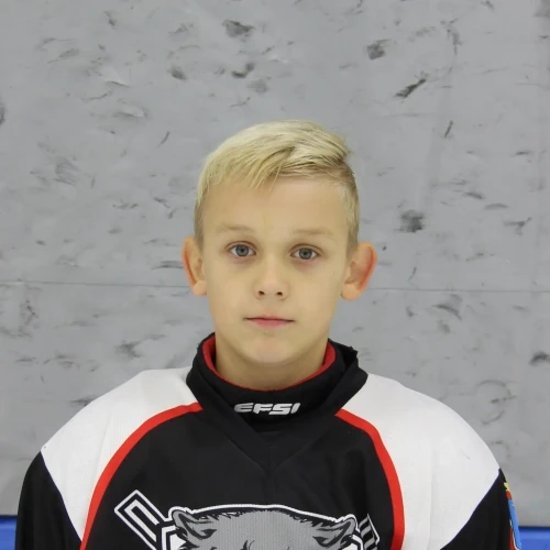 Danilov Maksim Alekseevich