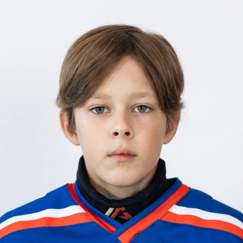Podgornyi Dmitrii Olegovich