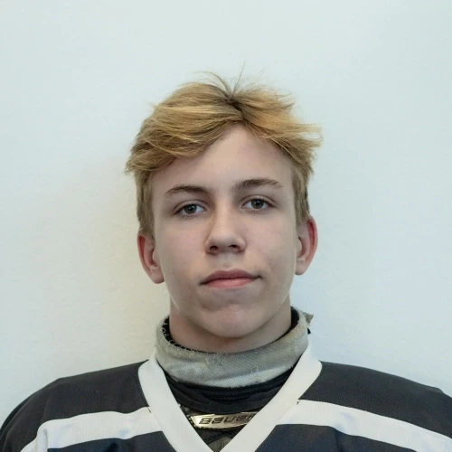 Alekseenko Timur Vitalevich