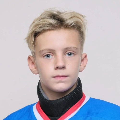 Vlasov Denis Aleksandrovich