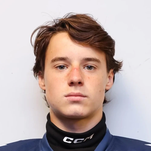 Dmitriev Dmitrii Dmitrievich