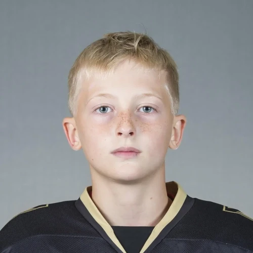 Shesterikov Aleksei Igorevich