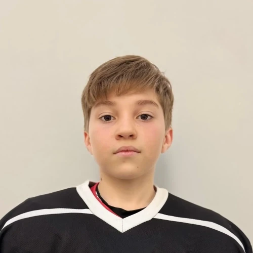 Degtyarev Mihail Andreevich