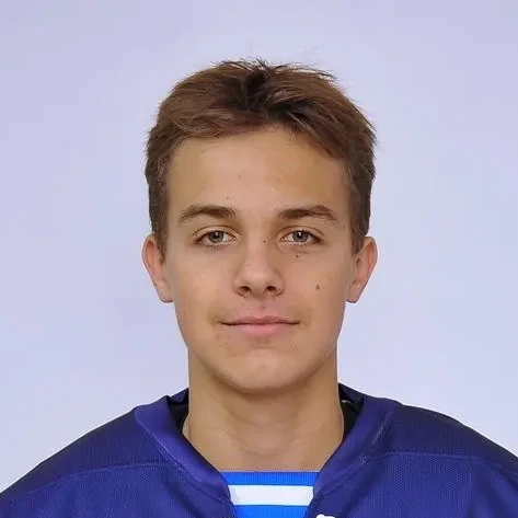 Pervushin Vladimir Sergeevich