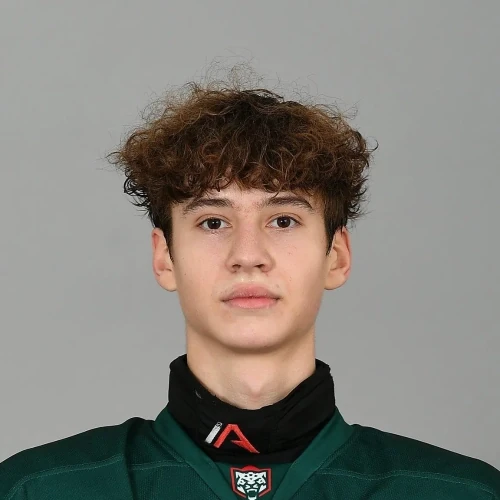 Martyanov Daniil Dmitrievich
