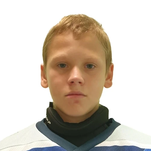 Lapygin Nikita Sergeevich