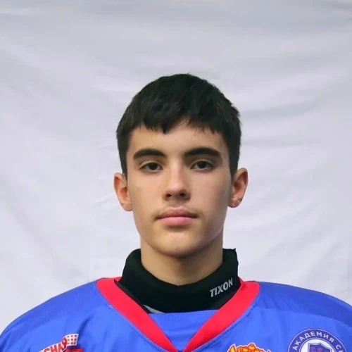 Voitenok Dmitrii Ruslanovich