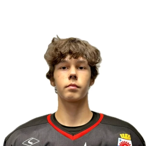 Sboev Nikita Vladimirovich