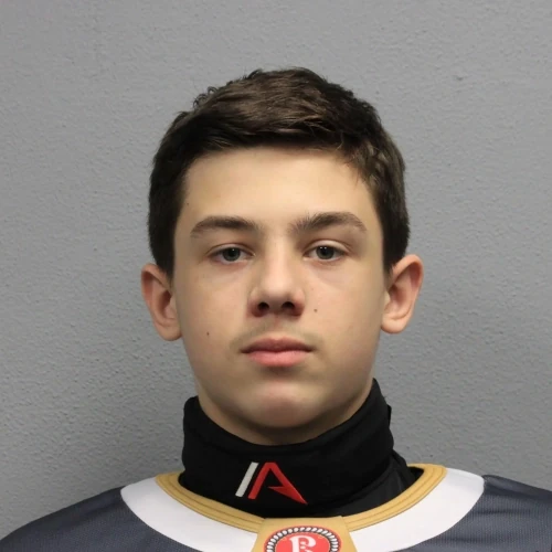 Goltsov Artem Aleksandrovich