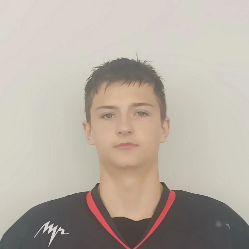 Shushpanov Egor Evgenevich