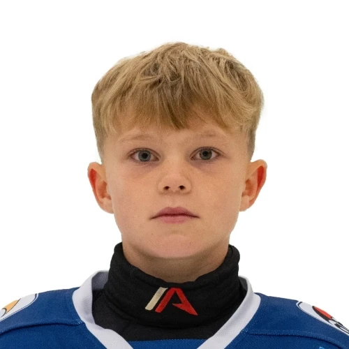 Dotsenko Ilya Igorevich