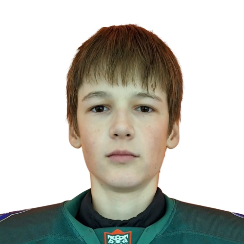 Каргин Михаил Русланович